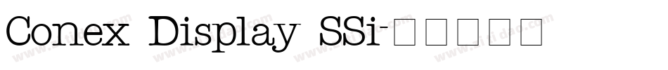 Conex Display SSi字体转换
